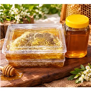 عسل طبیعی طارم سفلی برداشت تازه 1 کیلوگرم