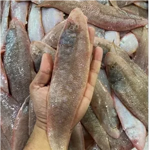 ماهی محبوب زبان صورتی فوق العاده با کیفیت فیله (سه کیلوگرم)