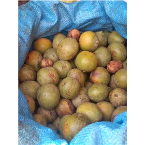 گردو درجه یک تازه