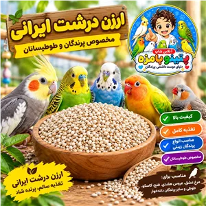 ارزن درشت ایرانی عروس هلندی و طوطی سانان (500گرمی)