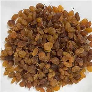 کشمش زرد بیدانه ی درگز 