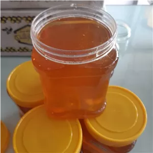 عسل گون گلستان