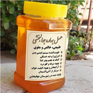 عسل درجه یک بهاره مستقیم از زنبوردار 