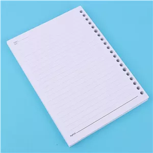 کاغذ کلاسوری 20 حلقه 100 برگ پاپکو A5-636-SH
