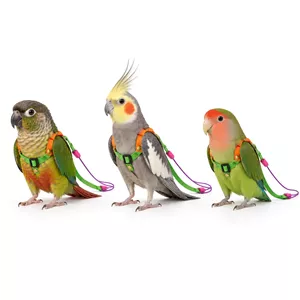جلیقه پرواز برزنتی توکا 