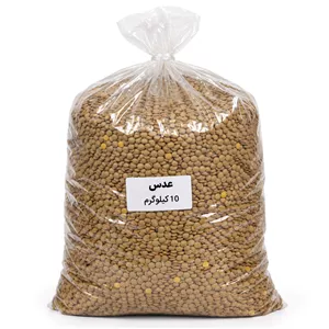 عدس اشی