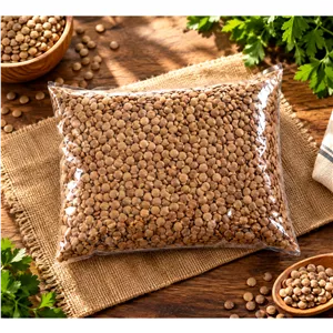 عدس روسی 500 گرمی اقتصادی 