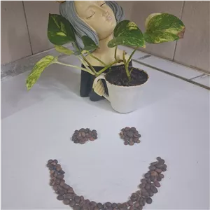 چای کرک