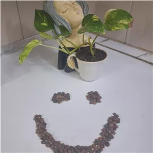 چای ماسالا
