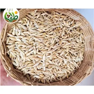 جو با پوست 1 کیلویی 