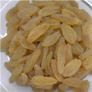 کشمش زرد قلمی کاشمر (عمده)