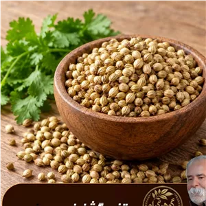 تخم گشنیز تمیز شده - میزان دلخواه