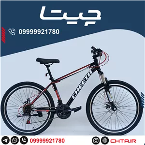 تنه دوچرخه24 مارک شده bsa