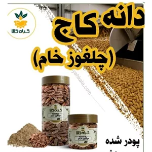 پودر شده دانه کاج (چلغوز خام) بسته بندی