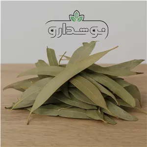 برگ اکالیپتوس 1 کیلویی (پسکرایه)
