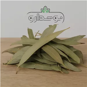 برگ اکالیپتوس 100 کیلویی (ارسال رایگان)