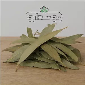 برگ اکالیپتوس 10 کیلویی (پسکرایه)