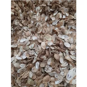 گلپر اعلا درشت و درجه 1