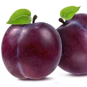 آلو درشت