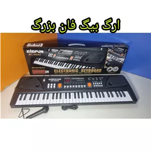 ارگ بیگ فان برق مستقیم میکروفن ، use پس کرایه