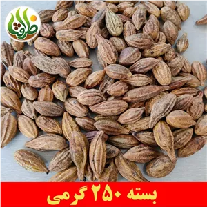 هلیله زرد ممتاز ظرافت 250 گرمی