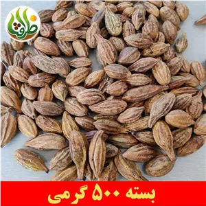هلیله زرد ممتاز ظرافت 500 گرمی