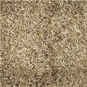 120 گرم زیره سبز 