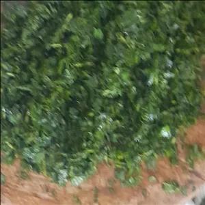 سبزی چوچاق جنگلی خرد شده 4 کیلویی