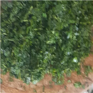 سبزی چوچاق جنگلی خرد شده 5 کیلویی
