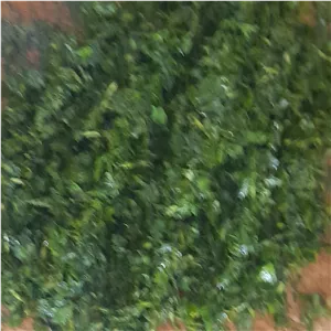 سبزی چوچاق جنگلی خرد شده 3 کیلویی