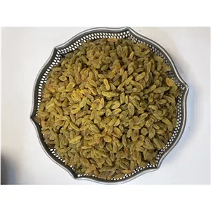 کشمش سبز تیزآبی