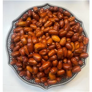 سنجد درباری