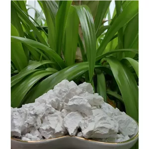 نشاسته گندم خانگی 