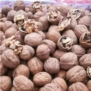 گردو پوست کاغذی یک کیلویی تازه امسالی روستای هریس مراغه dashi005