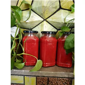 رب خانگی ارگانیک شیشه ای ترنم
