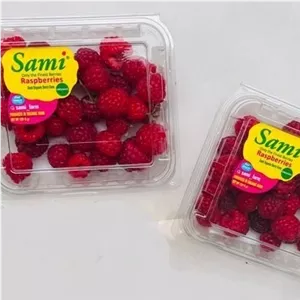 رزبری(تمشک) تازه ممتاز، 100 تا 110 گرم ، مناسب گارنیش و تزیین کیک و دسر