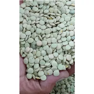 عدس محلی خوب
