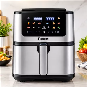 سرخ کن دسینی مدل DS1114