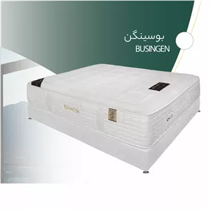 تشک مدل بوسینگن برند bern