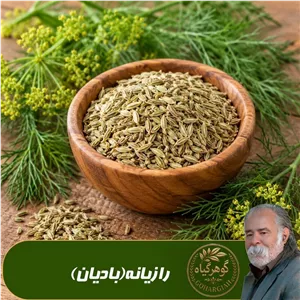 رازیانه(بادیان)پودر شده گوهرگیاه - 200 گرمی