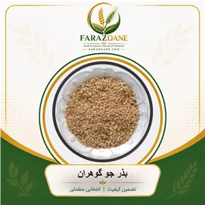 بذر جو گوهران