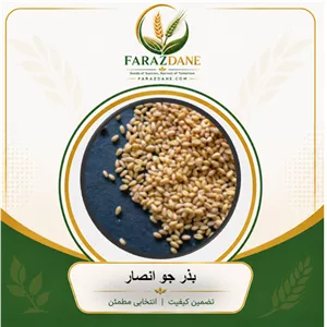 بذر جو انصار