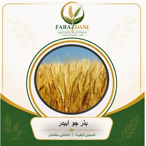بذر جو آبیدر