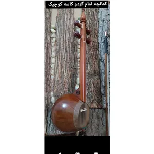کمانچه پشت بسته مهدی بنیادی 