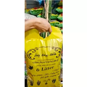 خاک برگ چنار Platanus 