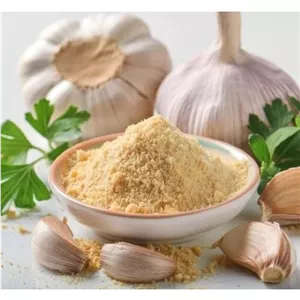 پودر سیر همدان خالص با عطر و بو عالی تازه آسیاب(100 گرم)