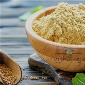 پودر خردل 100 کیلویی (ارسال رایگان) گونی