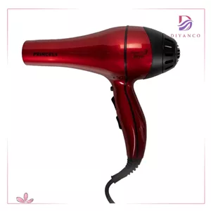 سشوار حرفه ای پرنسلی مدل PR228