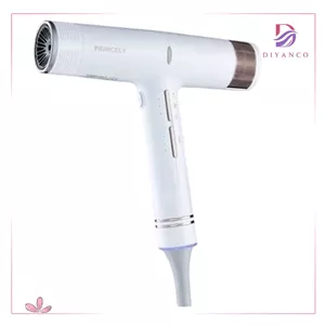 سشوار حرفه ای پرنسلی مدل PR282AT موتور جت