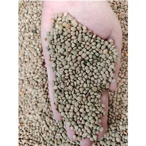 عدس آشی زاگرس چین 1 کیلوگرمی(پاک شده)
